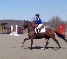 2013 Morven Spring Horse Trials